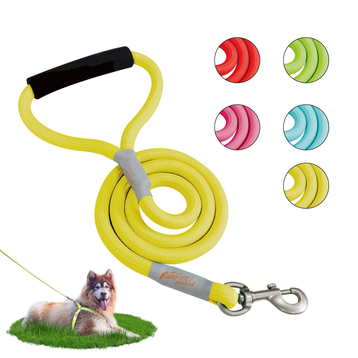 Pet Leash