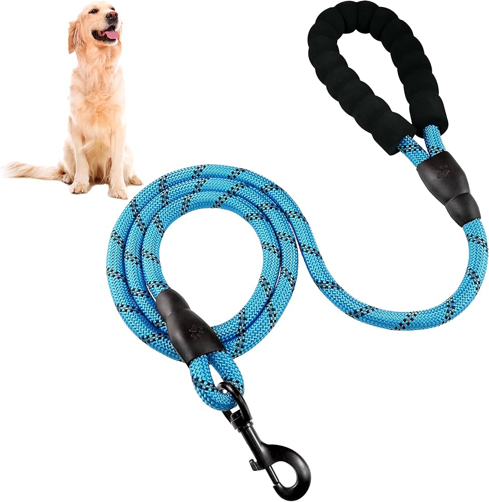 Pet Leash