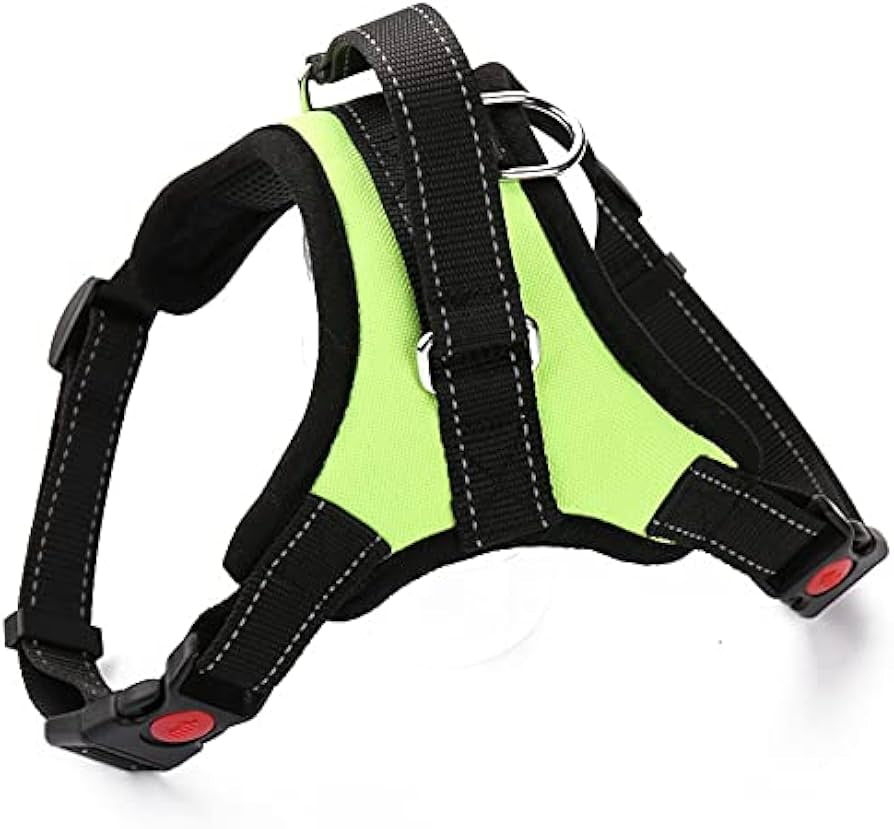 Pet Harness