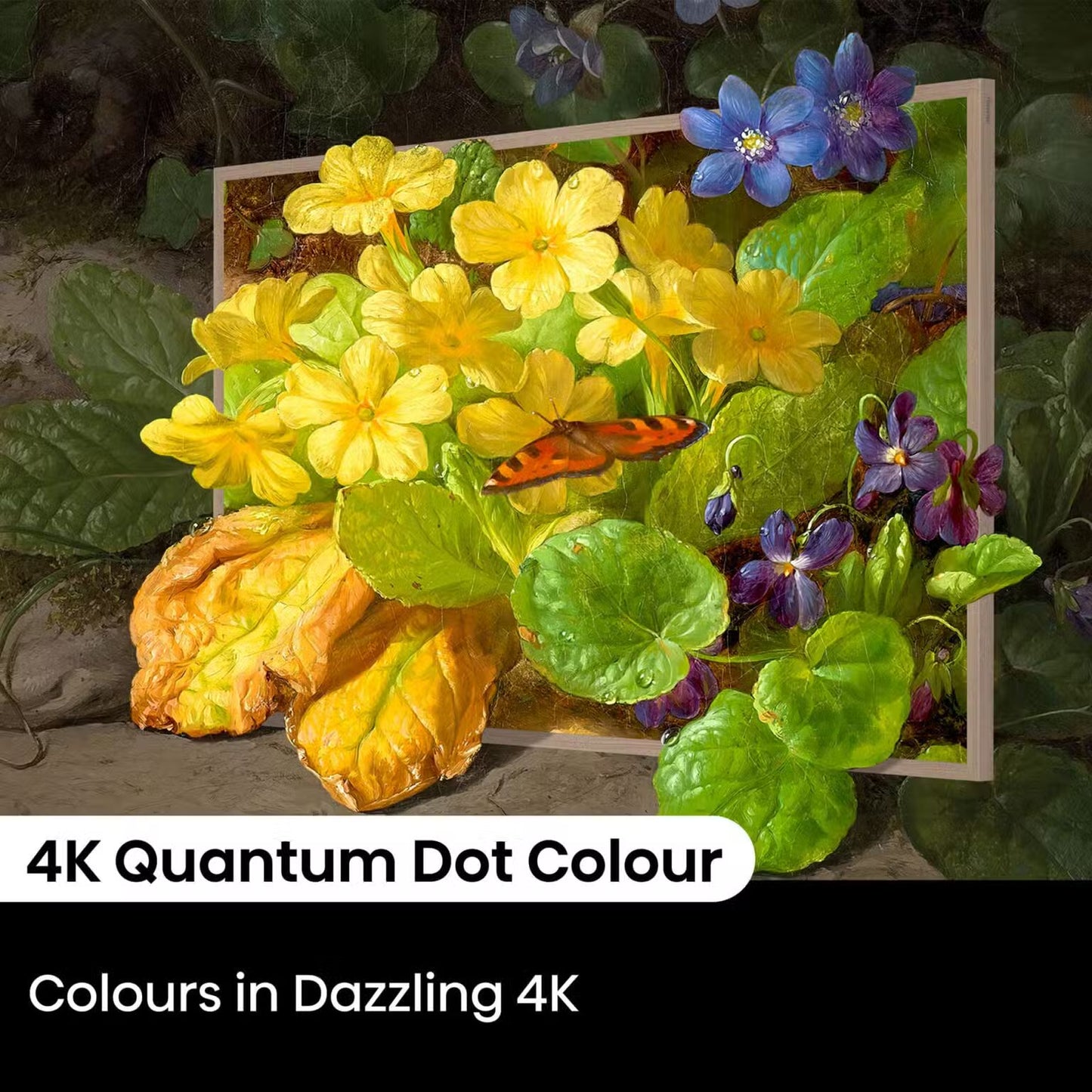 Hisense 55S7N CanvasTV™ | 55″ 4K QLED VIDAA TV