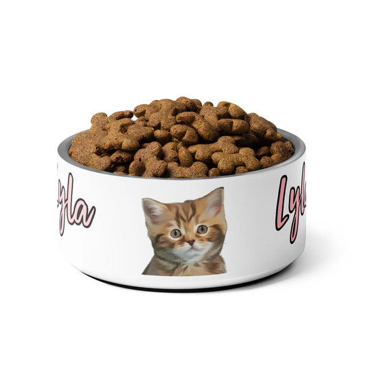 Cat Food Bowls