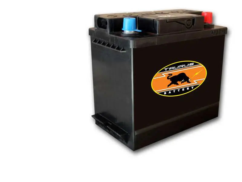 Taurus 636 Car Battery